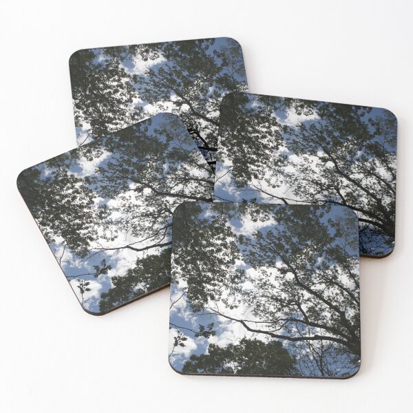 Item preview, A Canopy Crown Tree Photography Print - Art designed and sold by jolabrese.
