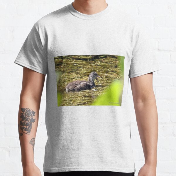 Dusky Moorhen - immature (508) Classic T-Shirt