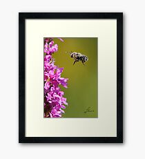 Air Walk Framed Print