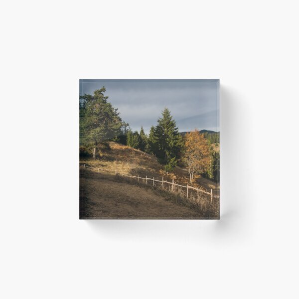 Item preview, Fenced In Warm Autumn Light designed and sold by Georgia Mizuleva.