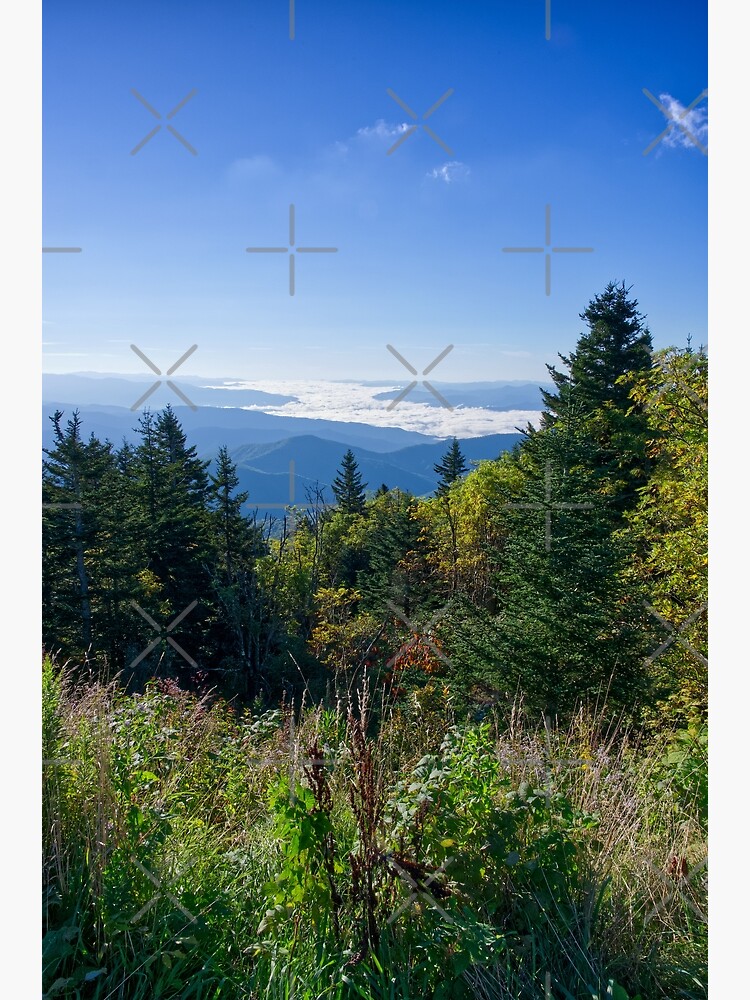 "Clingmans Dome 18" Poster for Sale by perkinsdesigns Redbubble