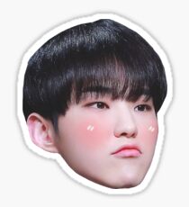 Hoshi Seventeen Sticker