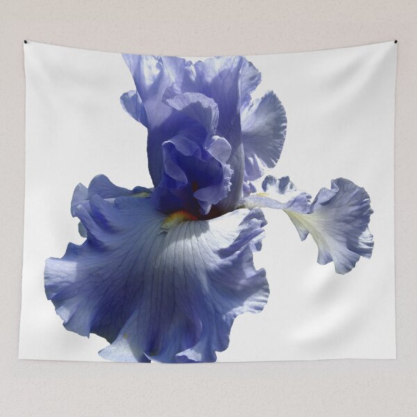 Item preview, A Single Blue Bearded Iris Blossom designed and sold by Mandala Magic by OM.