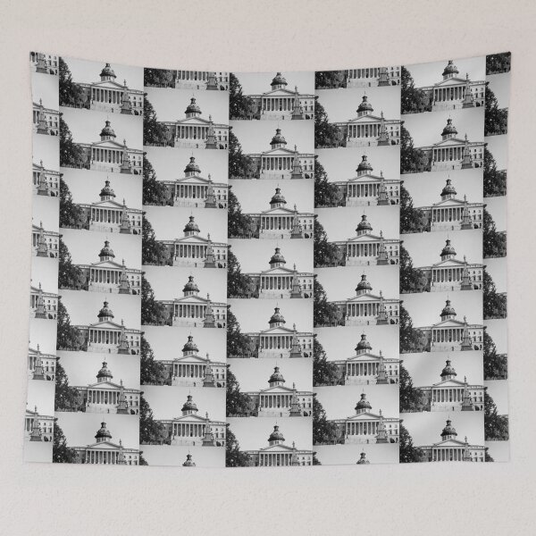 Item preview, South Carolina State House Study 1  designed and sold by Robert Meyers-Lussier.