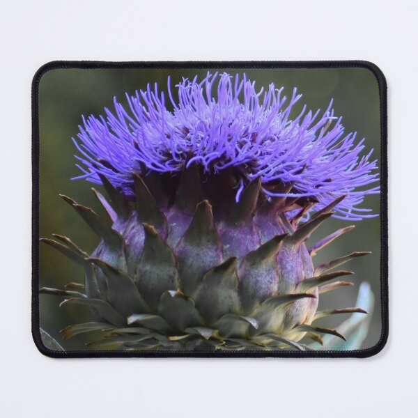 Item preview, Globe Artichoke designed and sold by okomedesign.