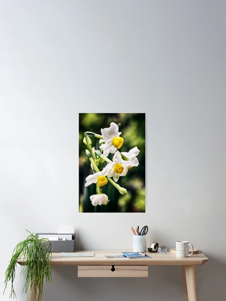 Thumbnail 2 of 3, Poster, Spring Soon designed and sold by Vicki Field.