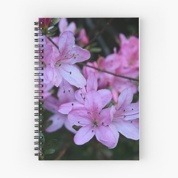 Item preview, Azalea Cluster designed and sold by beeden.