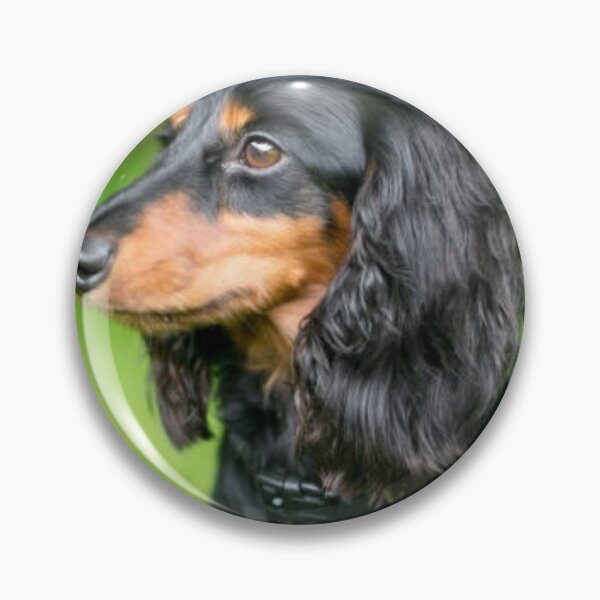 Item preview, Lindo cachorro de perro salchicha de pelo largo negro y tostado designed and sold by DesignVertex.
