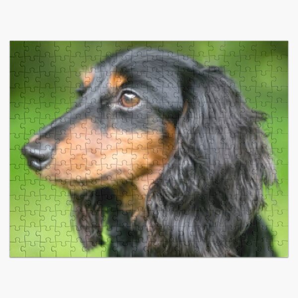 Dachshund Jigsaw Puzzle - Long Hair 252 pcs