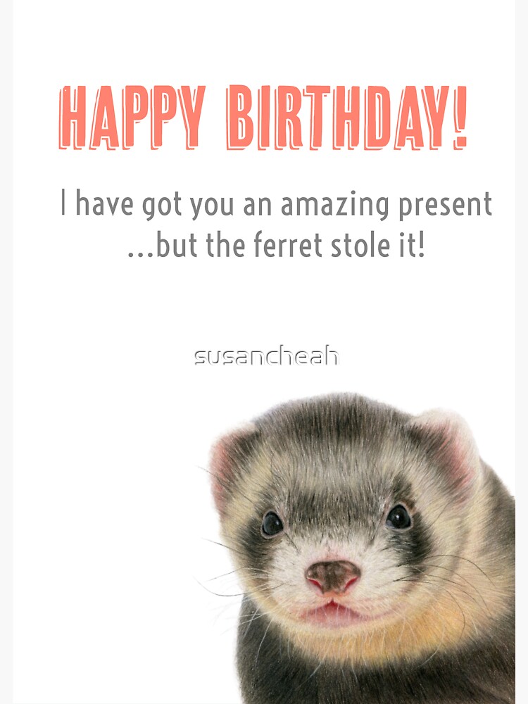 Ferret Happy Birthday Greeting Card Ferret Stole Your Present