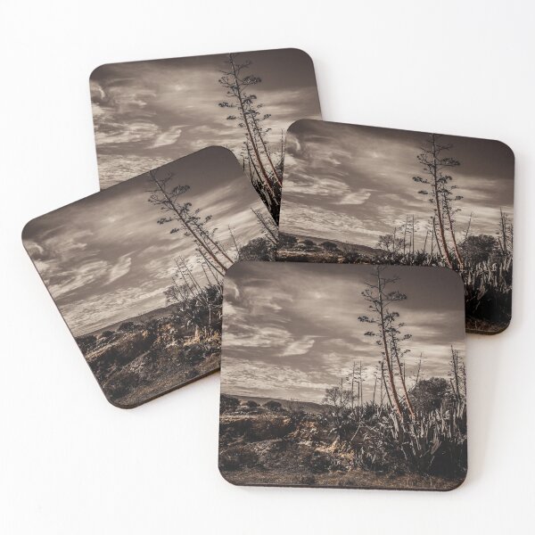 Item preview, Giant Aloe designed and sold by DVJPhotography.