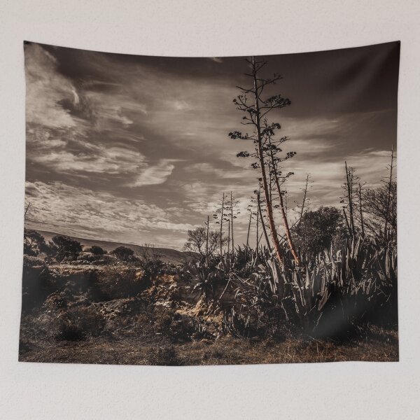 Item preview, Giant Aloe designed and sold by DVJPhotography.