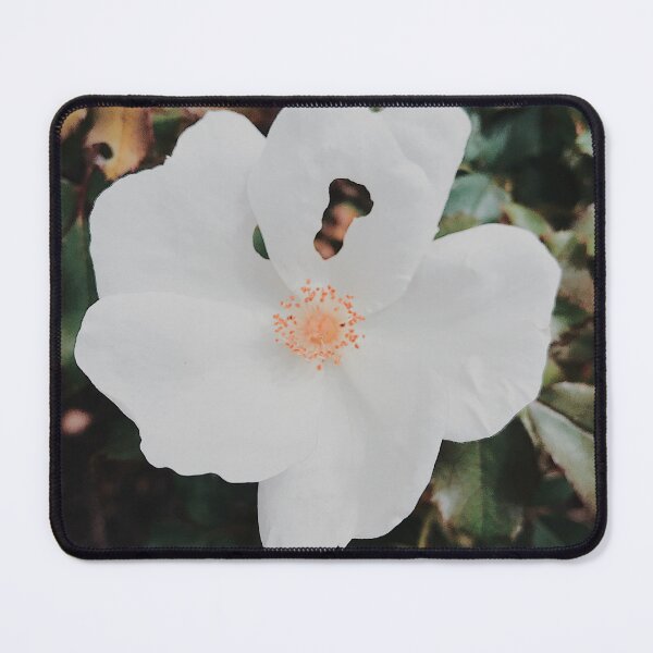 Item preview, Venus Envy designed and sold by Tessia Photography.