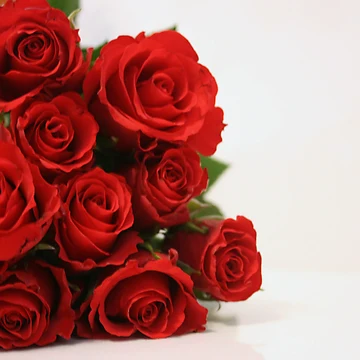 Artwork thumbnail, Red Roses by Alyssa Cronk