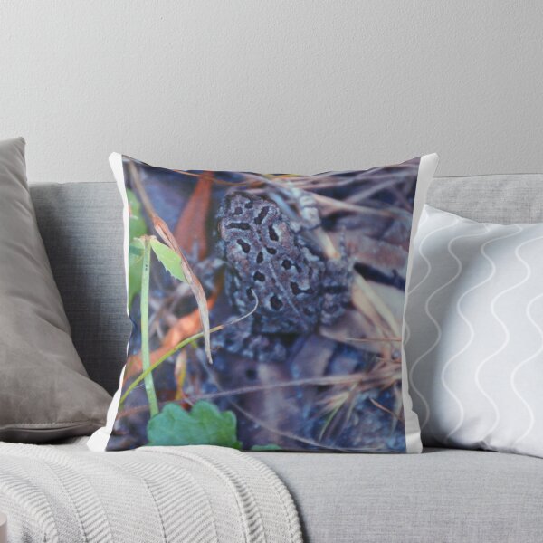Item preview, Froggy Friend's Friend designed and sold by Tessia Photography.