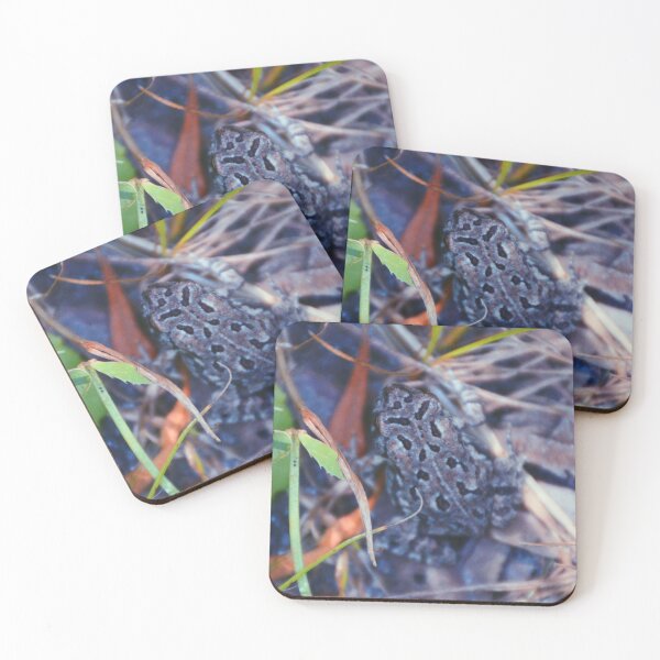 Item preview, Froggy Friend's Friend designed and sold by Tessia Photography.