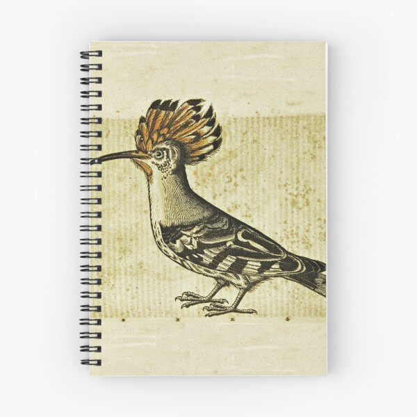 Item preview, Hoopoe Bird Upupa epops Ancient Illustration designed and sold by worldways.