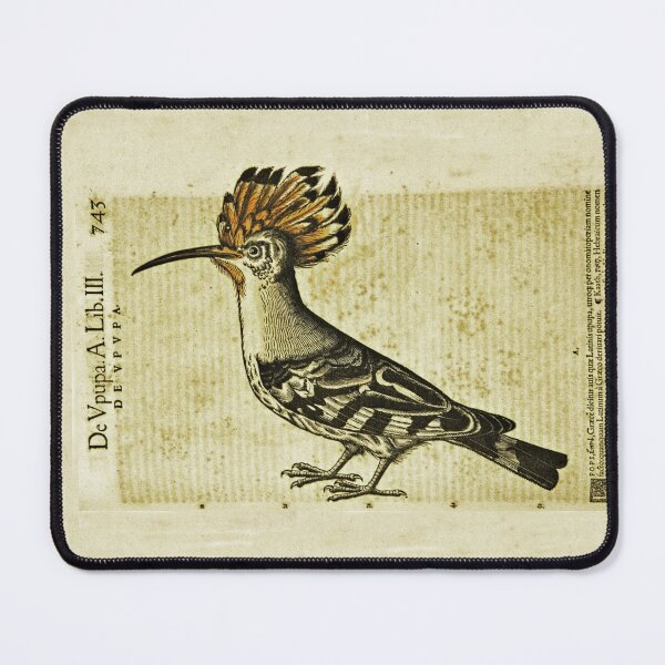 Item preview, Hoopoe Bird Upupa epops Ancient Illustration designed and sold by worldways.