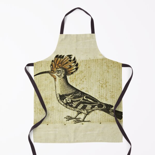 Item preview, Hoopoe Bird Upupa epops Ancient Illustration designed and sold by worldways.