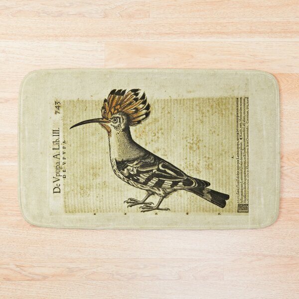 Item preview, Hoopoe Bird Upupa epops Ancient Illustration designed and sold by worldways.