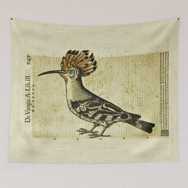 Item preview, Hoopoe Bird Upupa epops Ancient Illustration designed and sold by worldways.
