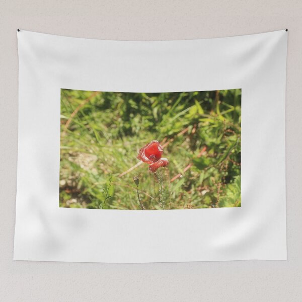 Item preview, Frangible, red petal in frenetic grass designed and sold by lucielitchi.