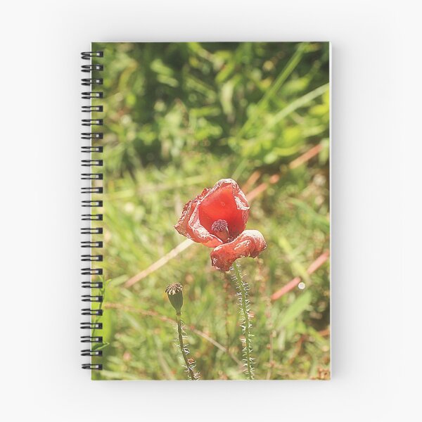 Item preview, Frangible, red petal in frenetic grass designed and sold by lucielitchi.