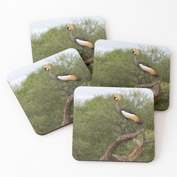 Item preview, Grey Crowned Crane (Balearica regulorum) designed and sold by Yair Karelic.