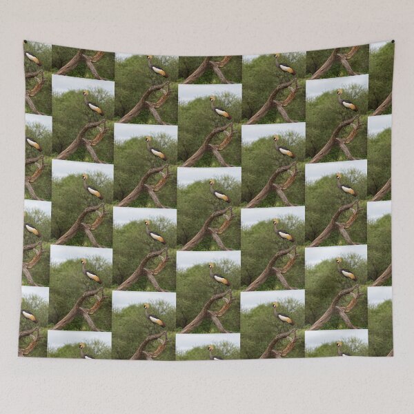 Item preview, Grey Crowned Crane (Balearica regulorum) designed and sold by Yair Karelic.