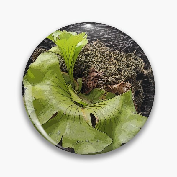 Item preview, Staghorn fern 55 designed and sold by SandraLSherrill.
