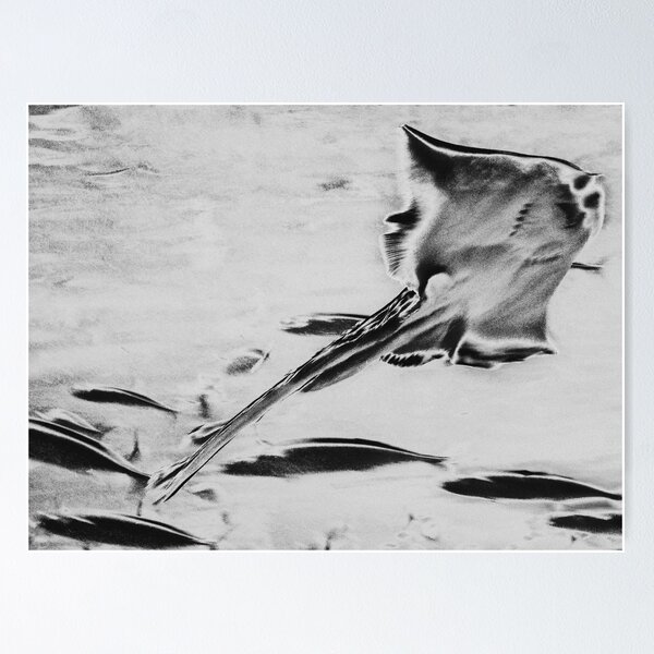 Item preview, RAY. MAN RAY STYLE. designed and sold by 5hertz.