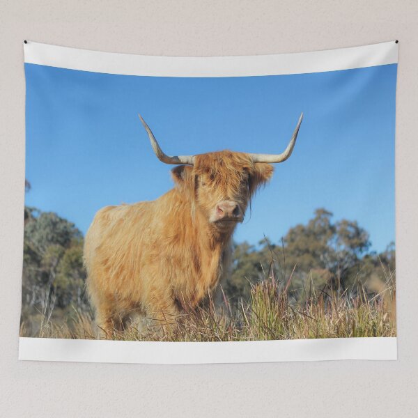 Item preview, Highland Cow designed and sold by Kim Deans.