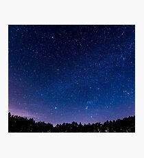 Stars, Forest, Night Photographic Print