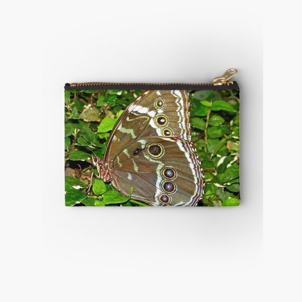 Item preview, Blue Morpho designed and sold by John Thurgood.
