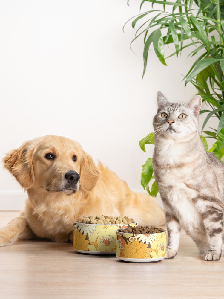 Alternate view of Yellow, Orange and Brown Vintage Floral Pattern Pet Bowl