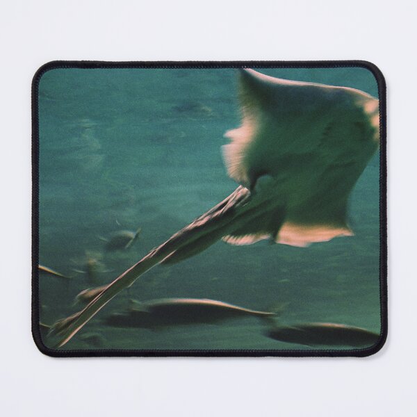 Item preview, RAY. BATOIDEA. designed and sold by 5hertz.