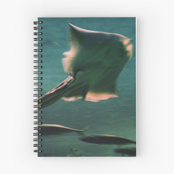 Item preview, RAY. BATOIDEA. designed and sold by 5hertz.