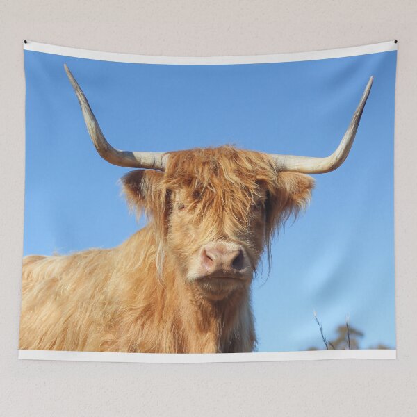 Item preview, Highland cow designed and sold by Kim Deans.