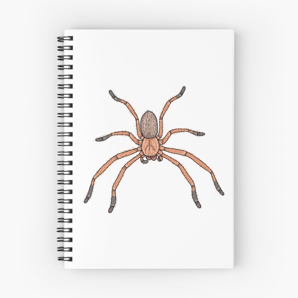 Aperçu de l'œuvre Delena Cancerides chasseur social créée et vendue par Artbychb.