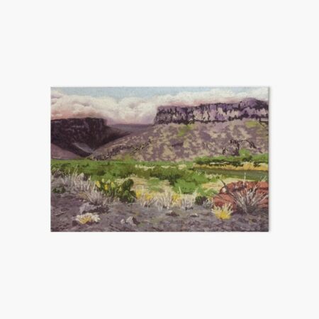 Desert Color Art Board Print