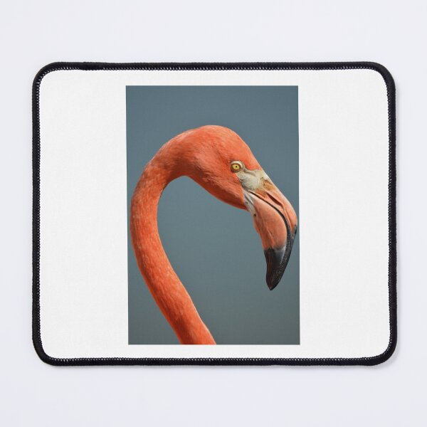 Item preview, Flamingo Portrait designed and sold by Laurie Minor.