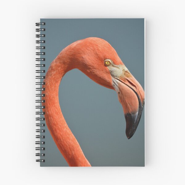 Item preview, Flamingo Portrait designed and sold by Laurie Minor.
