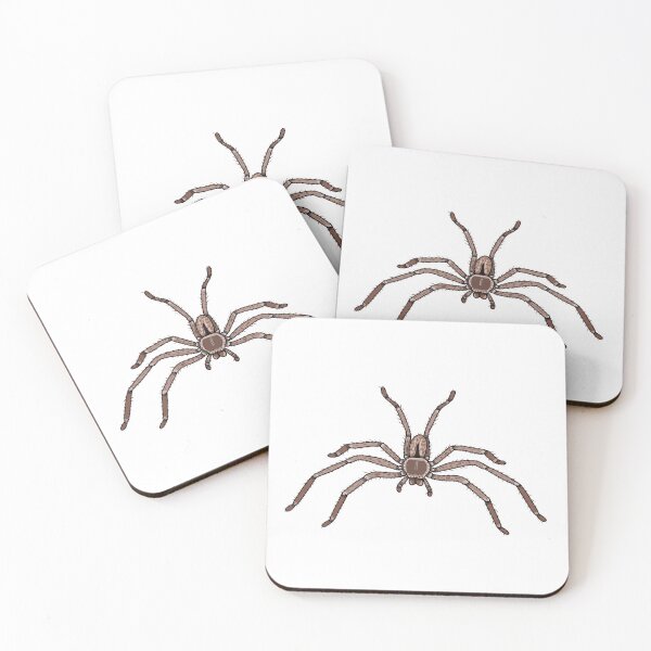 Item preview, Holcania Immannis Huntman spider designed and sold by Artbychb.