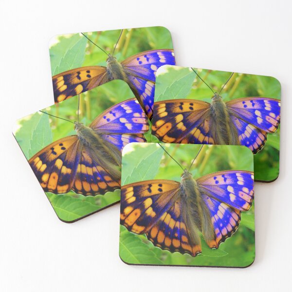 Item preview, exotic butterflies designed and sold by André  Fernandes Iaque.