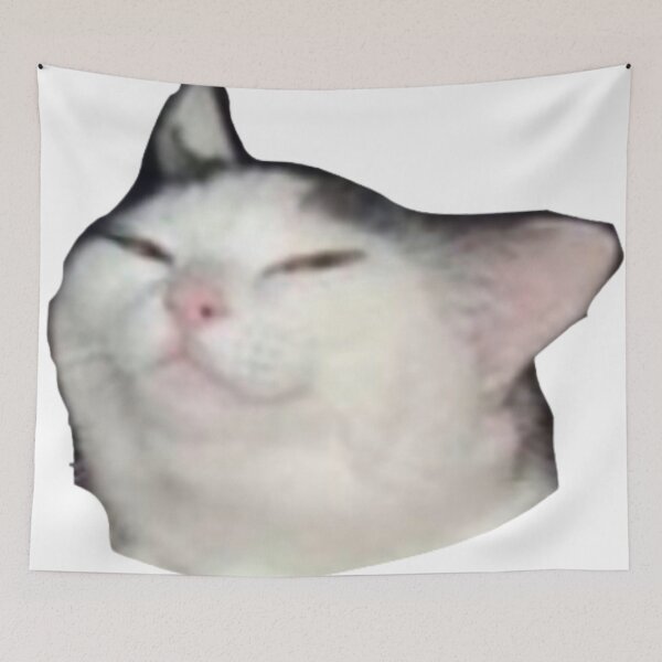 Item preview, Cat meme designed and sold by the-al-foil.