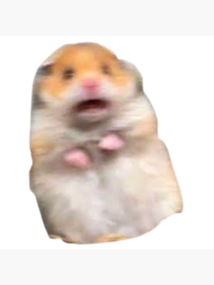 scared-hamster-meme-poster-for-sale-by-the-al-foil-redbubble