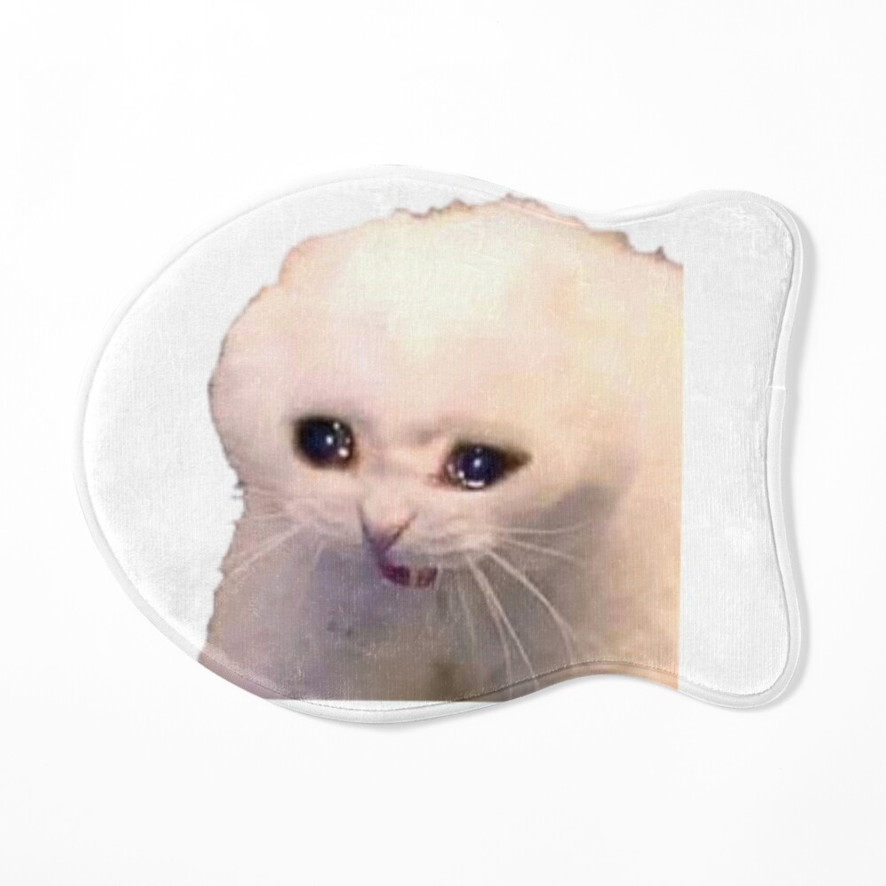 Sad Cat Meme | Pin