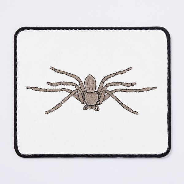 Item preview, Isopeda Leishmanni Huntsman spider designed and sold by Artbychb.