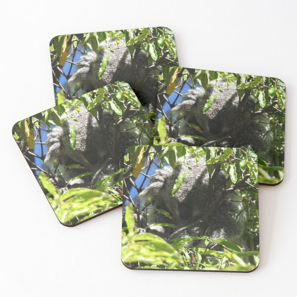 Item preview, Koala designed and sold by kirstybush.