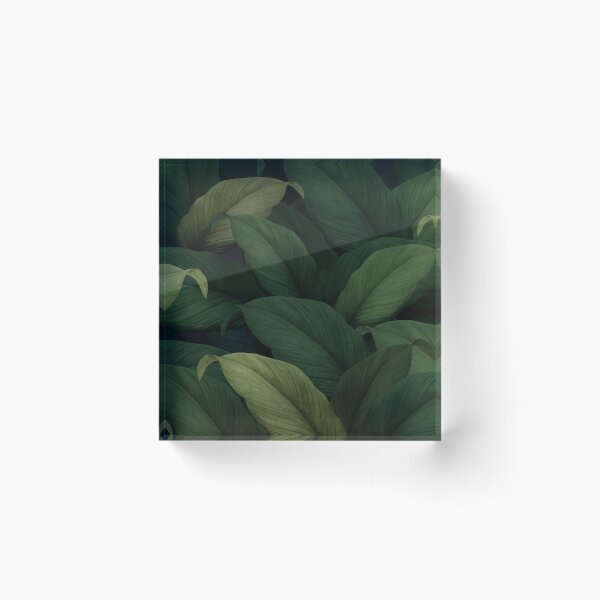 Item preview, Hand drawn tropical leaves background green leaf pattern  designed and sold by thanyaj.